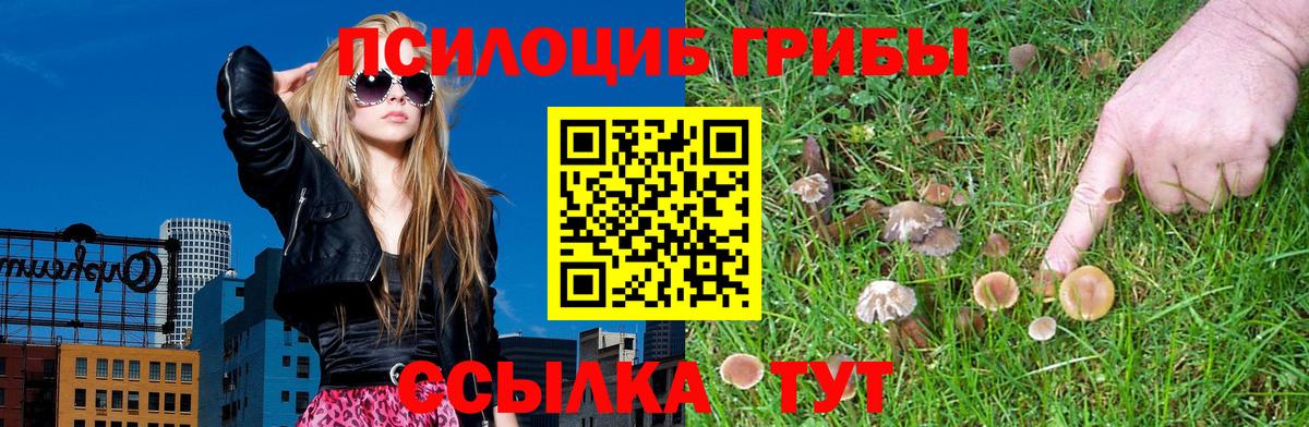 Псилоцибиновые грибы мухоморы Саров